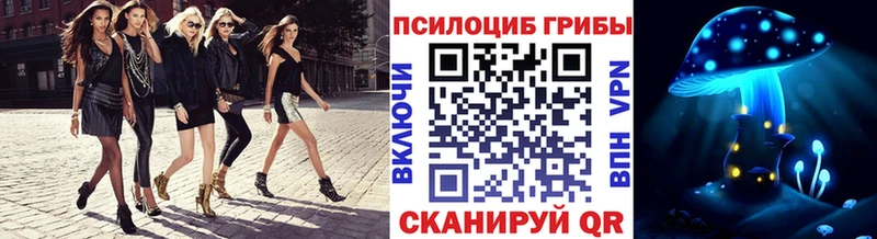 Псилоцибиновые грибы Cubensis  Новосокольники 