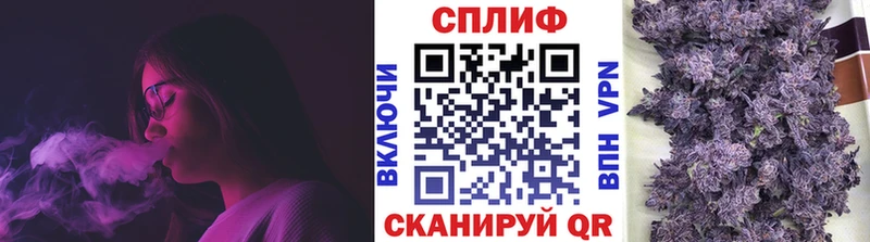 Бошки марихуана конопля  Новосокольники 